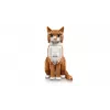 LEGO IDEAS 21376 Oranžová mačka