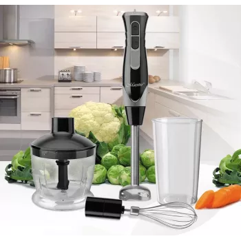 Tyčový mixér Maestro MR-566, 500 W, 2 rýchlosti, turbo, metlička, sekáčik 600 ml, skladovacia nádoba 900 ml, nerez