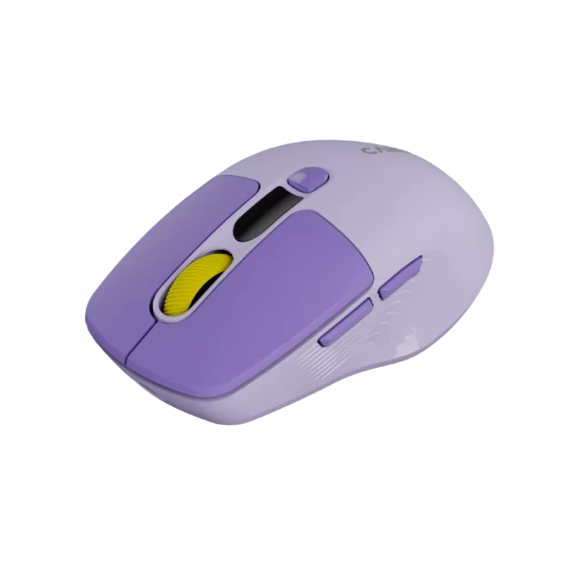 Myš CANYON MW-26 LCD silent dual mode wireless