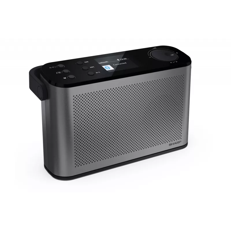 Stereo rádio Sharp OSAKA DR-P540(GY)