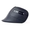 Gembird MUSW-ERGO-03 myš Home pravácka RF bezdrôtová optická 1600 DPI