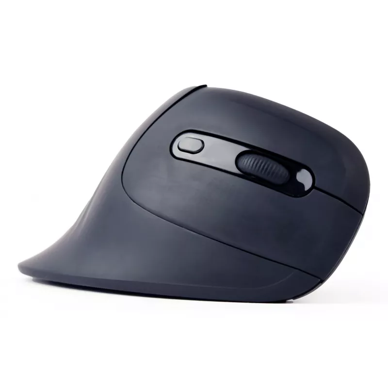 Gembird MUSW-ERGO-03 myš Home pravácka RF bezdrôtová optická 1600 DPI