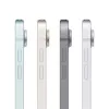 Apple iPad 13