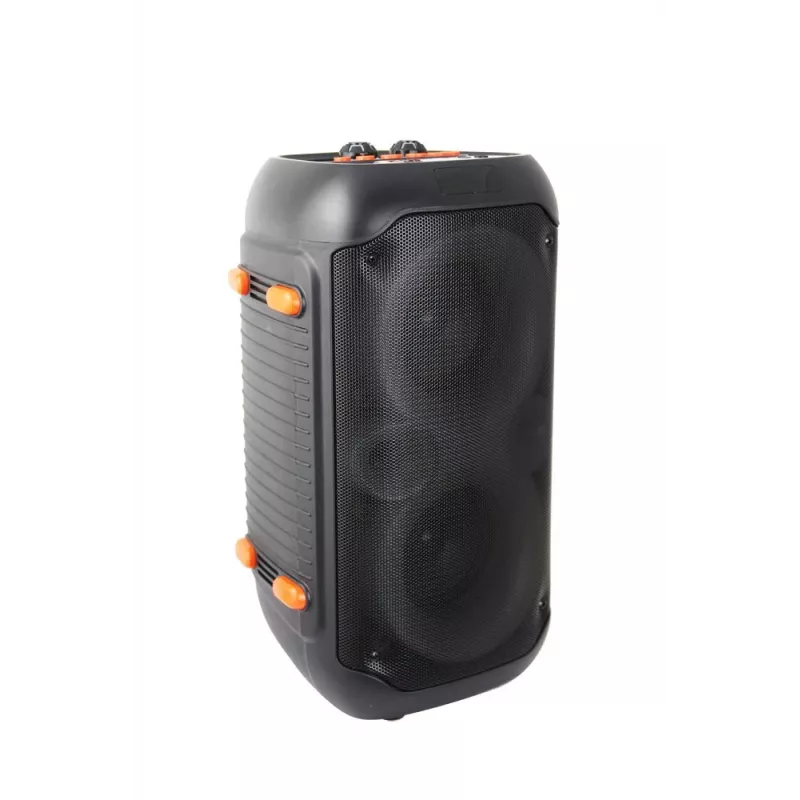 Esperanza EP156 BT FM LED RGB KARAOKE reproduktor čierny 20W