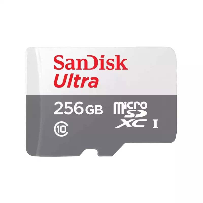 PAMÄŤ MICRO SDXC 256GB UHS-I/SDSQUNR-256G-GN3MN SANDISK