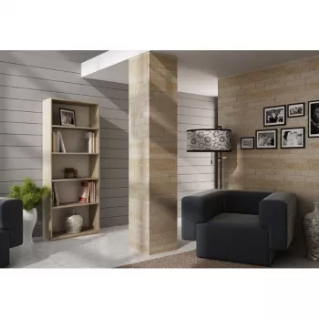 Topeshop R60 SONOMA kancelársky regál