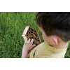 Sada I'M A Genius - laboratórium včiel