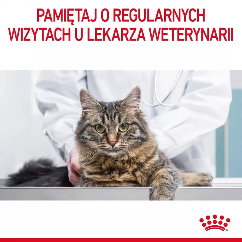 Royal Canin Urinary Care suché krmivo pre mačky 4 kg