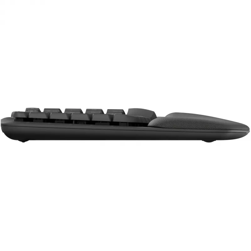 Logitech Wave Keys klávesnica Office RF Wireless + Bluetooth QWERTZ grafitová