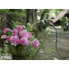 Vodná hadica Karcher Premium 5/8- 25M
