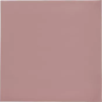 Thermal Grizzly Minus Pad 8 – 100 x 100 x 0,5 mm, 2 ks