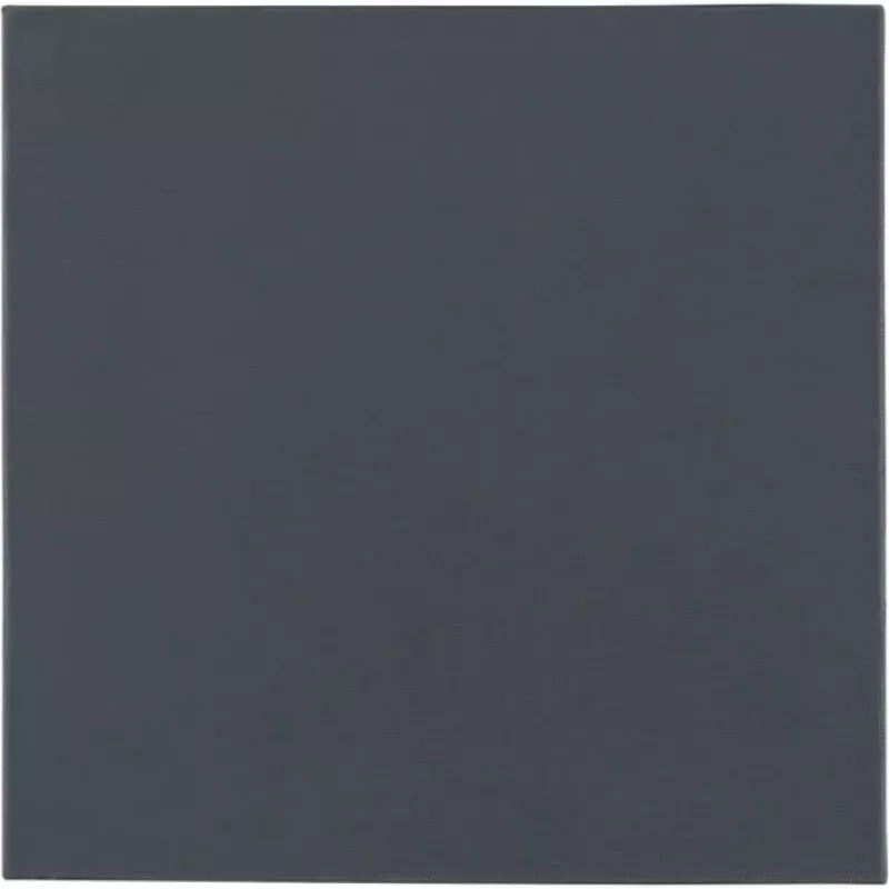 Thermal Grizzly Minus Pad Pro, 100 x 100 x 2,0 mm
