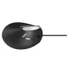 Myš Rapoo EV200 Office USB Type-A