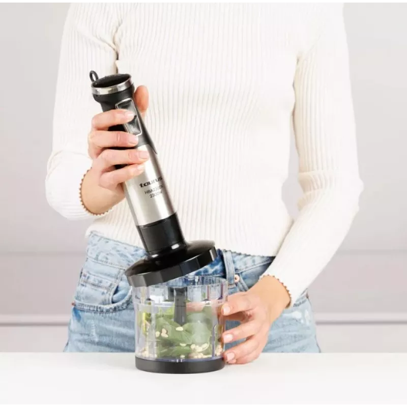Tyčový mixér Taurus HBA2300X s príslušenstvom, 2300 W