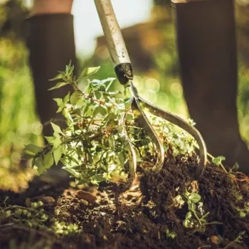 Fiskars Xact™ Cultivator 3 sivá, biela ručný kyprič