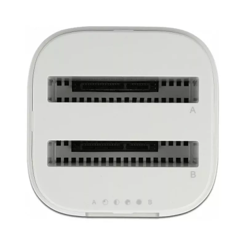 Dokovacia stanica DeLOCK USB Type-C™ 3.2 pre 2 x 2,5-palcové SATA disky/SSD