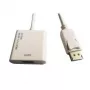 ROLINE DisplayPort-HDMI adaptér - aktívny - v1.2 - DP samec - HDMI samica - biely - 0,15 mm - DisplayPort samec - HDMI typ A - DisplayPort verzia 1.2 - aktívny (12.03.3160)