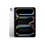 Apple iPad 11