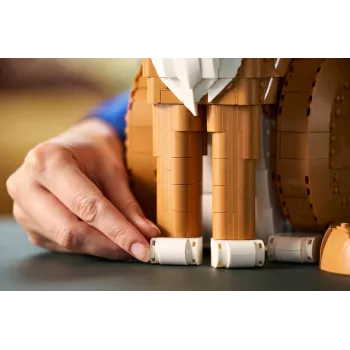 LEGO IDEAS 21376 Oranžová mačka