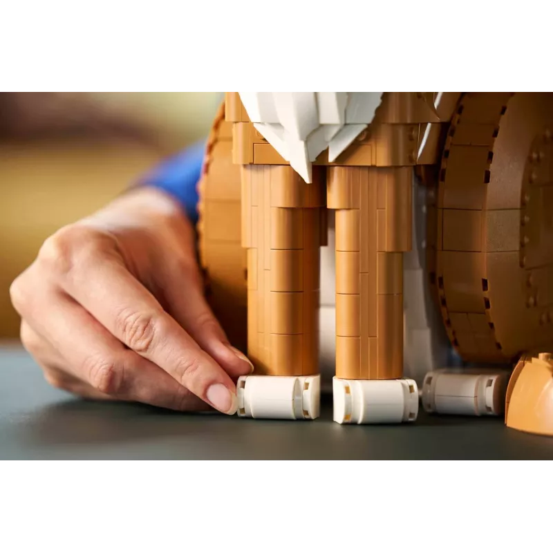 LEGO IDEAS 21376 Oranžová mačka