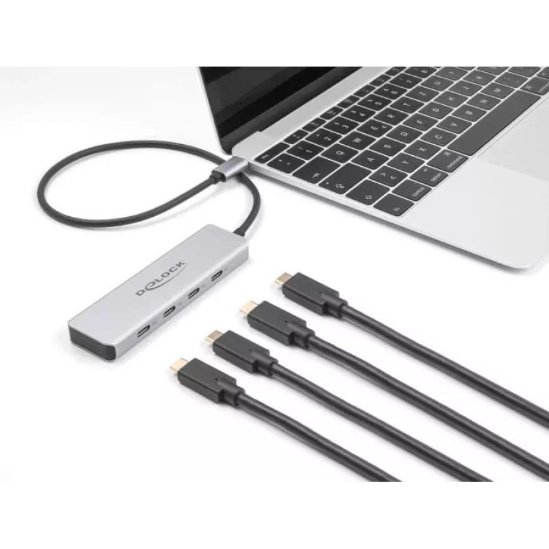 DeLOCK USB Type-C hub 10 Gbps 4 porty hliník sivý