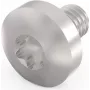 Schroff skrutka Torx M4X6 E/PRO (100 kusov/balenie) (24560151)