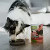 ANIMAL ISLAND Mono-Protein morčacie pre psov 300g