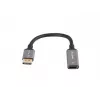 Lanberg AD-DP-HD-04 video kábel adaptér 0,2 m DisplayPort HDMI