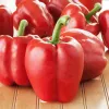PNOS paprika Ozarowska obalené semená, balenie 50 ks
