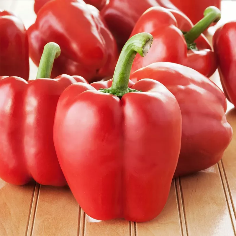 PNOS paprika Ozarowska obalené semená, balenie 50 ks