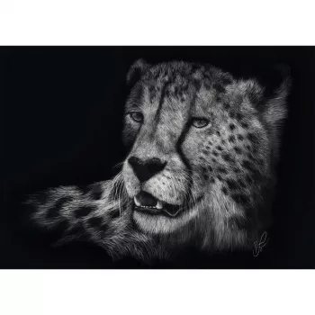 Ashley Rader: Speed - Gepard, Im Zeichen der Anmut, Puzzle 1000 dielikov