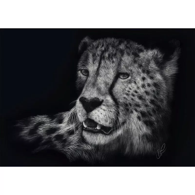 Ashley Rader: Speed - Gepard, Im Zeichen der Anmut, Puzzle 1000 dielikov