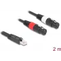 DeLOCK 88176 audio kábel 2 m RJ-45 2 x XLR 3-pólový čierny