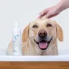 Hypoalergénny šampón VETEXPERT 250 ml pre psov a mačky — čistiaci, všetky typy srsti, každý vek