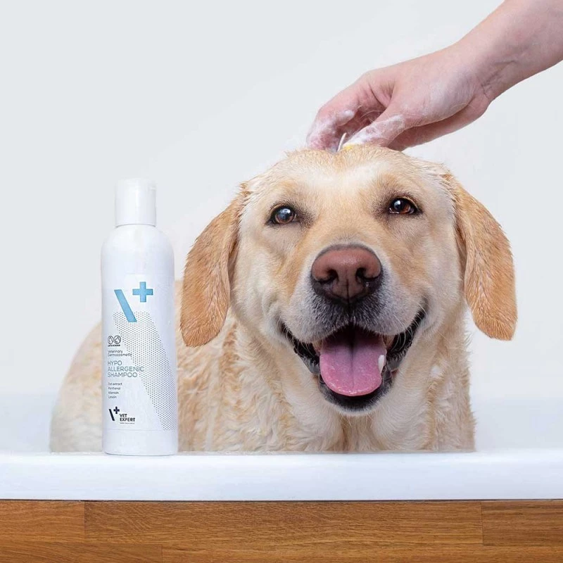 Hypoalergénny šampón VETEXPERT 250 ml pre psov a mačky — čistiaci, všetky typy srsti, každý vek