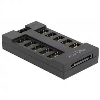 Delock - RGB LED svetelný hub - 10 portov - čierny (64128)