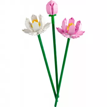 LEGO stavebnica LEGO 40647 Lotus Flowers — Botanical Collection modulárny model, 220 dielov, výška 300 mm, vek 8+