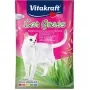 Vitakraft semienka mačacej trávy 50 g — jedlá rastlinná zmes pre mačky, 50 g vrecko, podporuje trávenie a odstraňovanie bezoárov