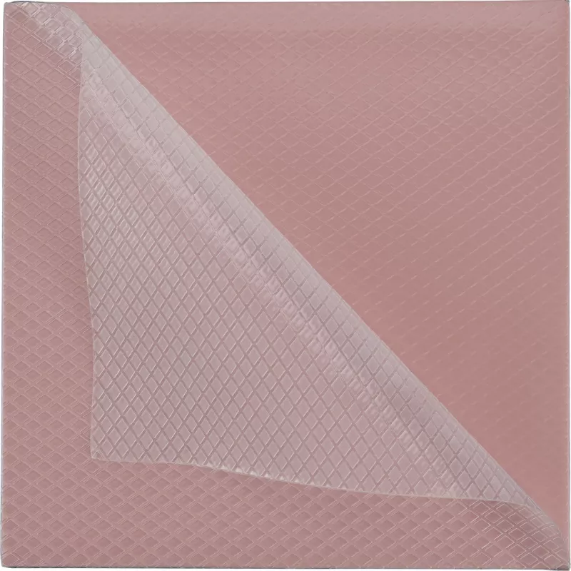 Thermal Grizzly Minus Pad 8 – 100 x 100 x 0,5 mm, 2 ks