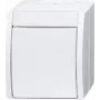 Busch Jaeger vypínač 2601/2 W-54 (2CKA001085A1627)