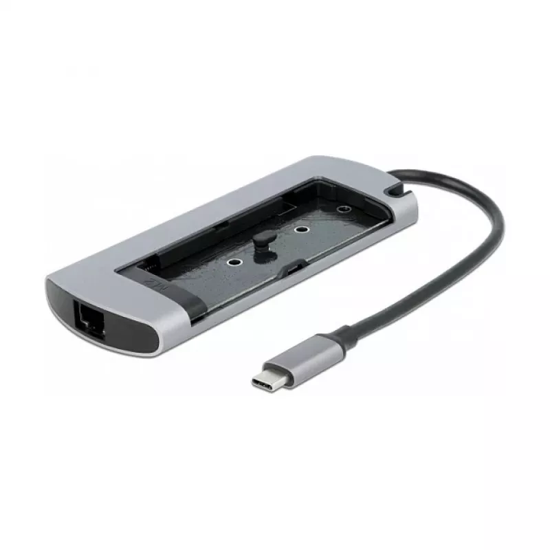 Dokovacia stanica DeLOCK USB Type-C dokovacia stanica so slotom M.2