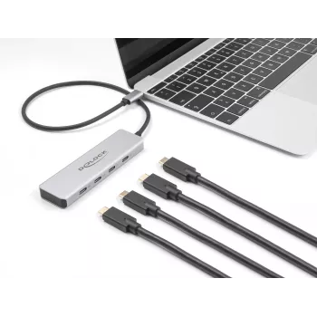 DeLOCK USB Type-C hub 10 Gbps 4 porty hliník sivý