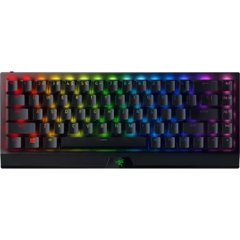Klávesnica Razer BlackWidow V3 Mini