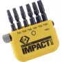 C.K. sada bitov 6-dielna TORX Torsion Control technológia (T4513)
