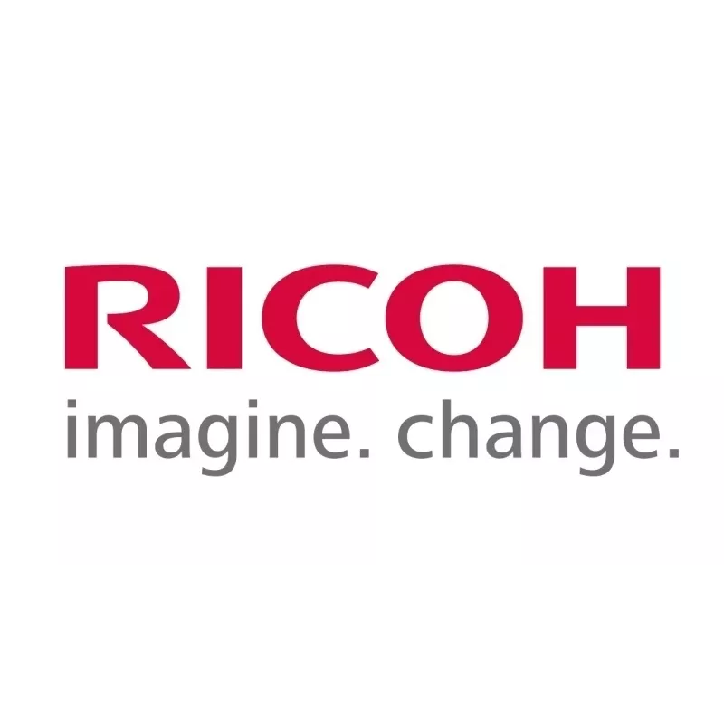 Ricoh 9P43505 FARBCONTROLLER E-28B - PROMOPACK IMP