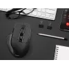 Myš Tracer Cozy pravá ruka RF Wireless optická 1600 DPI