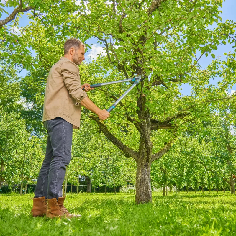 Gardena nožnice na konáre EasyCut L sivá/tyrkysová 50cm (12031-88)