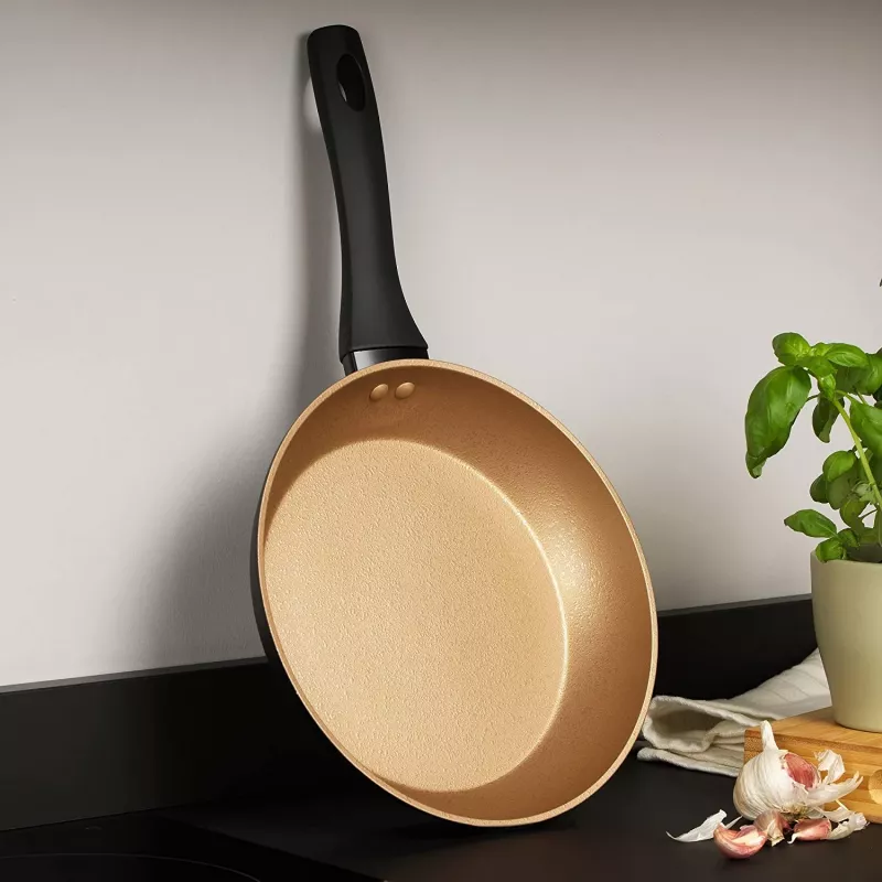 Panvica Russell Hobbs RH01666BEU7 24 cm, nepriľnavá, čierna