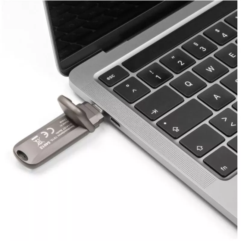 USB flash disk DeLOCK 54012 256 GB USB Type-C sivý