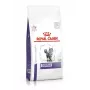 Royal Canin Dental suché krmivo pre mačky, 1,5 kg